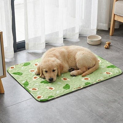 Tapis-pour-chiens-100% imperméable, 100 %coton haute densité lavable en machine, polyvalent, solide et résistant aux griffes, rafraichissant pour l'été et confortable en hiver, protège vos sols et vos meubles, disponible en 4 tailles du XS au L pour chiot et chien de petite à moyenne taille de 0 à 25 kg avec motif mignon-un chiot couché confortablement sur son tapis imperméable vert avec motif mignon avocat sur le sol du salon de l'appartement