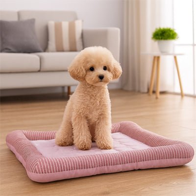 Tapis-rafraichissant-chien-coussin-lavable en machine-avec rebord surélevé-épais-coton-pvc-sans besoin de frigo-utilisation immédiate-un caniche assis confortablement sur son tapis qui le rafraîchit pendant les mois chaud