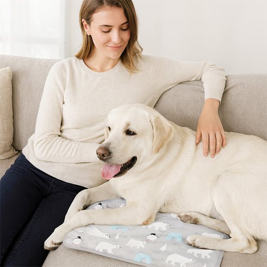 Tapis-rafraichissant-chien-chiot-gel-imperméable-lavable-polyvalent-pour-sol-lit-panier-cage-caisse-de-transport-voiture-voyage-réutilisable-résistant-au-griffes-compatible avec réfrigérateur ou frigo-sans produits toxique-Confort thermique pour le bien-être et la santé des chiens-un labrador couché et détendu malgré les températures chaudes sur le canapé du salon à côté de sa maitresse heureuse qui le caresse en été