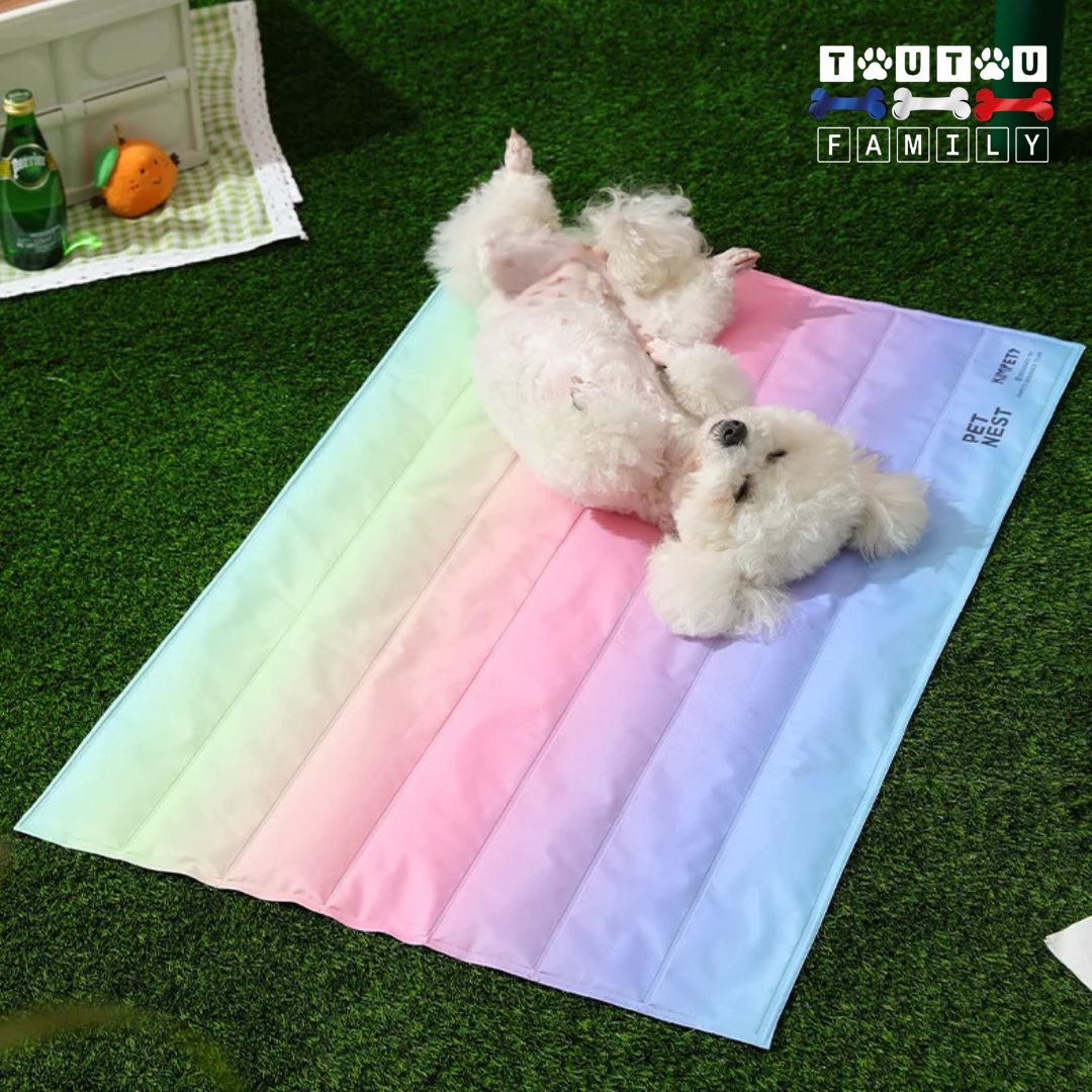 Tapis-rafraichissant-chien-gel-froid un chien blanc à poils frisé confortablement couché sur le dos dehors en plein été sur son tapis qui le rafraichit et lui permet de supporter la température de manière confortable