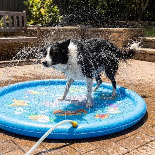Tapis rafraichissant chien jet d'eau-chiot-piscine, tapis d'eau rafraichissant avec jets d'eau de couleur bleue,avec design animaux aquatique, PVC résistant antidérapant raccordable à un tuyau d'arrosage avec adaptateur universel, pas d'outil ni de gonflage, installation immédiate, en 2 tailles de diamètre de 100 et 170 cm pour chien et chiot de petite à grande taille-un chien de taille moyenne qui se rafraichit et se secoue tout rafraichit dans la pataugeoire bleu avec jet sur la terasse en été