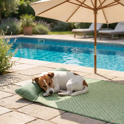 Tapis-rafraichissant-chien, antidérapant, imperméable, résistant aux griffes, lavable à l'eau avec traversin intégré , matelas et coussin rembourré 100% coton haute densité ergonomique pour le cou, sécurisant pour toutes les races de chien et chiot-un petit chien qui dort paisiblement sur le tapis rafraichissant de taille L, sa tête nichée sur le traversin rembourré du tapis, sous le parasol de la terrassse de la piscine en été