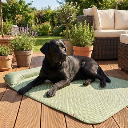 Tapis-rafraichissant-chien, antidérapant, imperméable, résistant aux griffes, lavable à l'eau avec traversin intégré , matelas et coussin rembourré 100% coton haute densité ergonomique pour le cou, sécurisant pour toutes les races de chien et chiot-un grand chien couché confortablement sur le tapis rafraichissant xxl, se dorant la pillule au soleil sur la terrasse du jardin de la maison en vacances d'été