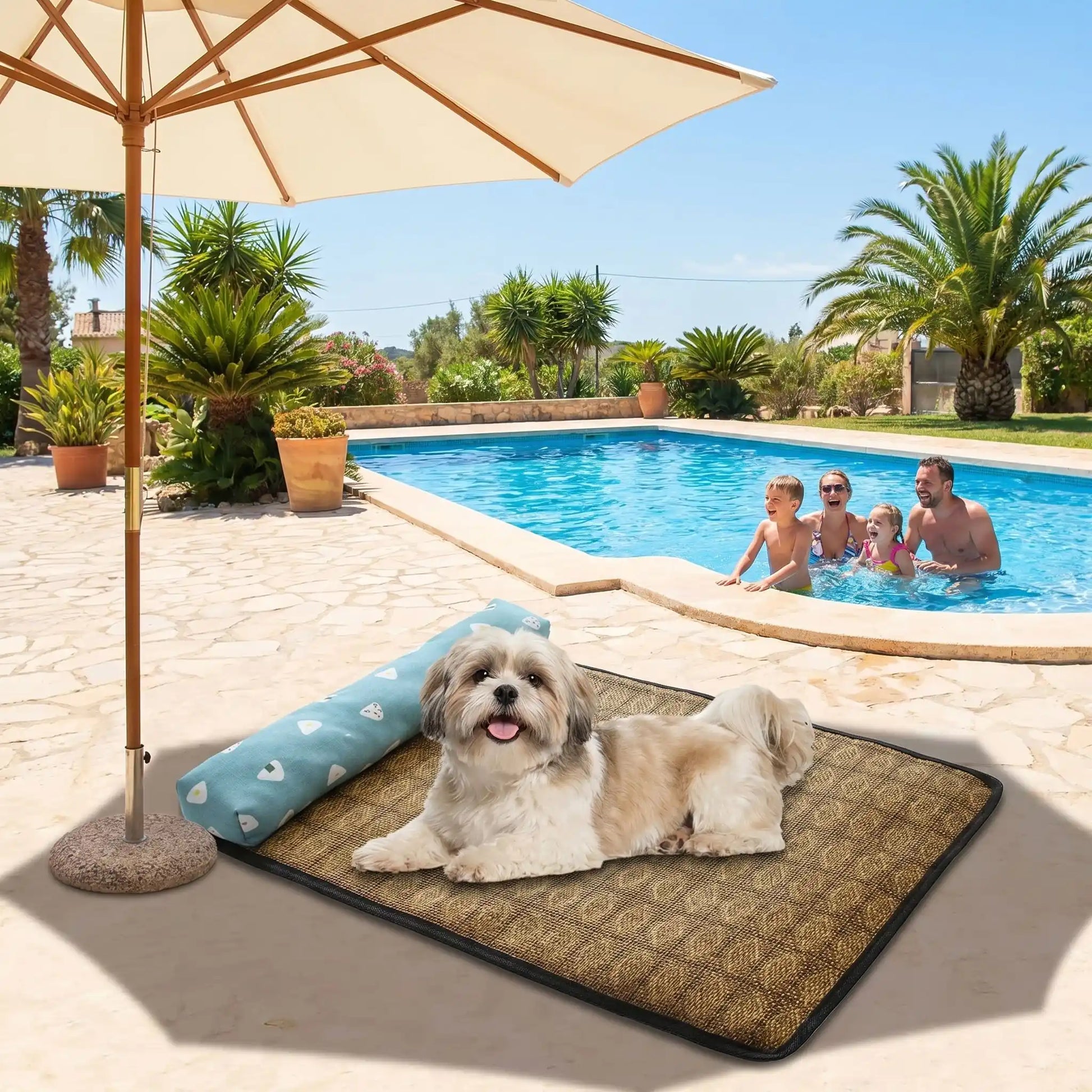 Tapis-rafraichissant-chien-petit-antidérapant, imperméable, résistant aux griffes, lavable avec traversin intégré , matelas et coussin rembourré 100% coton haute densité ergonomique pour le cou, sécurisant pour les petites races de chien et chiots de 0 à 9 kilos maximum-un chien à poils longs et épais couché confortablement sur le ventre rafraichit par le tapis avec oreiller, sans électricité et eau, sous le parasol de la terrasse de la piscine en vacances avec sa famille qui se baignent à côté