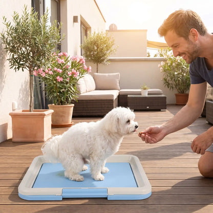 Toilette-pour-chien-chiot-éducateur-apprentissage-propreté, toilette nomade compact rectangulaire en plastique solide et inodore avec réservoir et couvercle clipsable pour bloque les alèses avec pieds antidérapant, espace délimité pour le chien ou le chiot pour race de petite taille-un petit chien qui fait ses besoins sur le support toilette de couleur bleu sous les encouragements de son maitre sur la terrasse de l'appartement en été