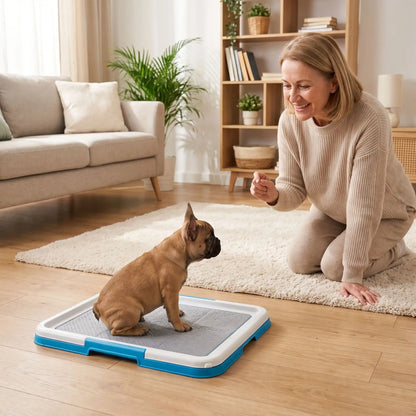 Toilette-pour-chien-chiot-éducateur-apprentissage-propreté, toilette nomade compact rectangulaire en plastique solide et inodore avec réservoir et couvercle clipsable pour bloque les alèses avec pieds antidérapant, espace délimité pour le chien ou le chiot pour race de petite taille-un chiot qui fait ses besoins sur le support toilette de couleur bleu sous les encouragement dee sa maitresse dans le salon de l'appartement