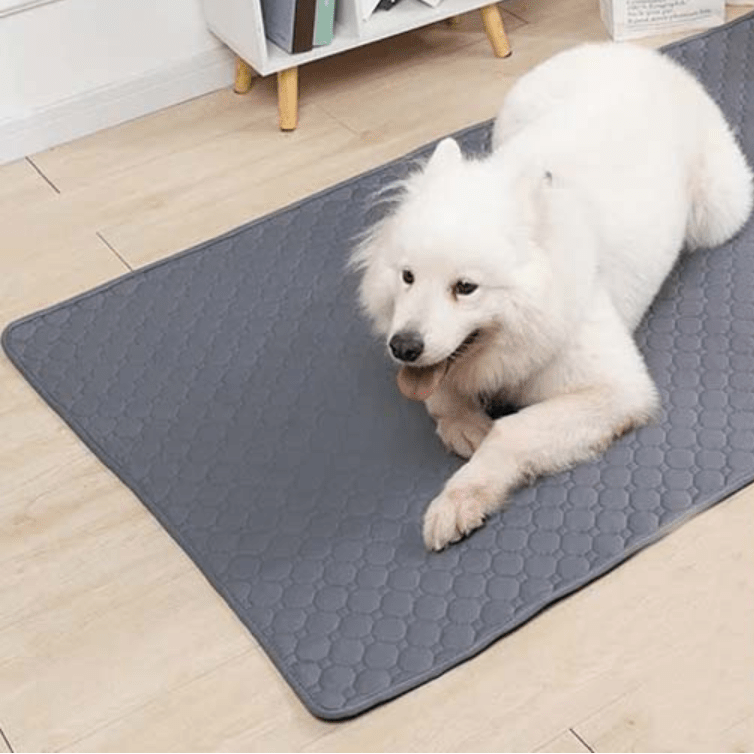 Alèse-lavable-chien-chiot-ultra-absorbant-gris, tapis confortable, surface anti poils et anti humidité, multi-couches 100% coton haute densité et son fond imperméable et antidérapant, disponible en 5 tailles : S, M, L et XL pour toute tailles et races de chiots et chien, multifonction, il protège efficacement sol, literie, meubles, voiture, caisse de transport et, réutilisable et durable, écologique-un chien de moyenne taille couché sur son alèse qui protège le sol en parquet du salon de l'appartement
