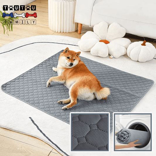 Alèse lavable chien - PropreToutou™