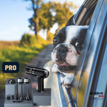 Aspirateur sans fil voiture - CycloneToutou™