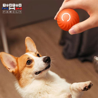 Balle-interactive-pour-chien-qui-roule-toute-seule-un-maitre-qui-appuie-sur-l-interrupteur-de-la-balle-lumineuse-rebondissante-pour-la-donner-à-son-chie-tout-heureux-de-jouer-avec