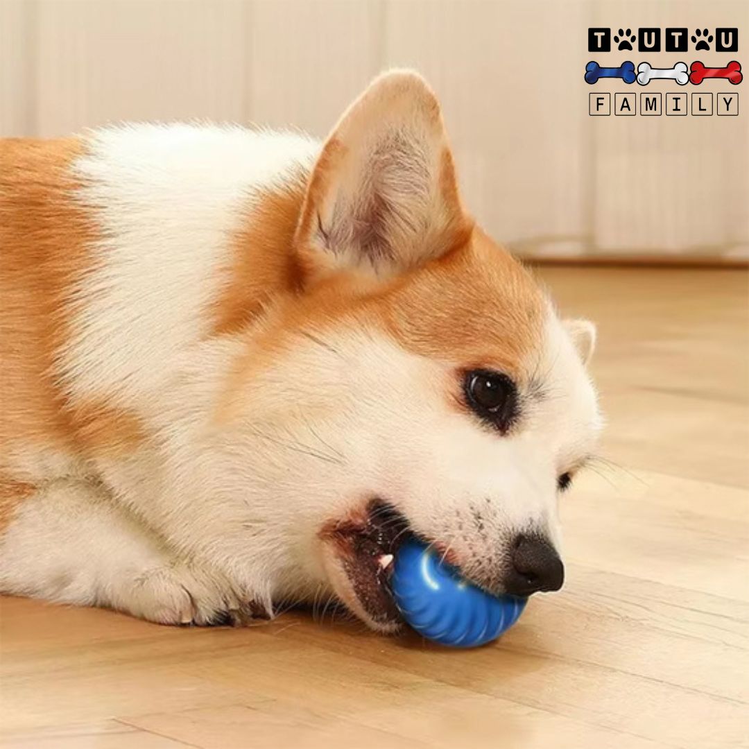 Balle-interactive-pour-chien-solide-résistante-un-chien-qui-mord-la-balle-lumineuse-et-vibrante-dans-sa-mâchoire-balle-pour-tous-les-chiens