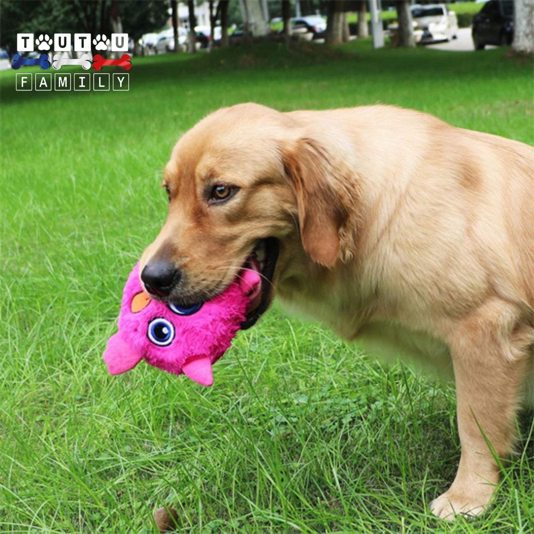 Balle-interactive-pour-chien-monstre-en-peluche-qui-bouge-toute-seule-un-golden-qui-tient-sa-balle-en-peluche-dans-ses-mâchoire-lavable-en-machine-dans-le-parc