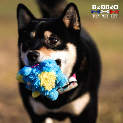 balle-pour-chien-en-peluche-balla-a-picot-un-chien-de-grande-taille-avec-la-balle-peluche-dans-la-bouche-qui-court-dans-l-herbe
