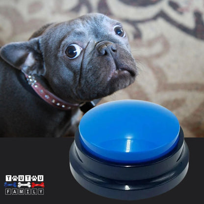 Buzzer-pour-chien-bleu-à-l-unité