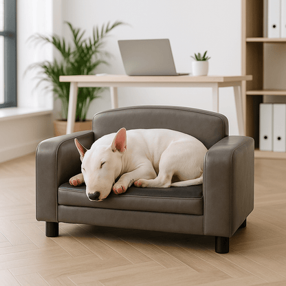 Canapé-pour-chien-imperméable-chien-moyen-un Bull Terrier Miniature qui dort couché en boule dans le canapé en simili cuir gris avec matelas en mousse déhoussable et lavable dans le bureau de la maison