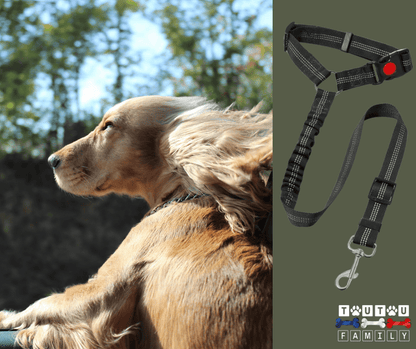 Ceinture de sécurité pour chien - CeintureToutou™