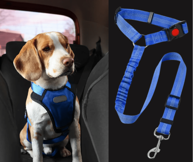 Ceinture-de-sécurite-pour-chien-2-en-1-laisse-voiture extensible, sangle robuste en nylon et clips  facile pour l'accrocher au appuie-tête des sièges, réglable et adaptable à tous véhicule-gros plan sur la ceinture de sécurité voiture universelle extensible, robuste pour chien avec son crochet rotatif à 360° et sangle pour appuie tête réglable et son clips sécurisé pour une installation facile et rapide, utilisable en laisse d'appoint de couleur bleue