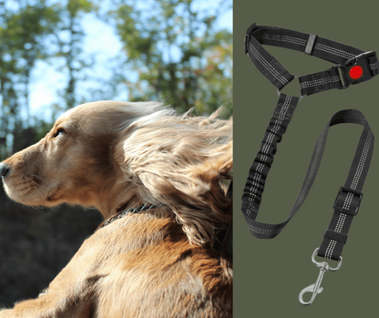 Ceinture-de-sécurite-pour-chien-2-en-1-laisse-voiture extensible, sangle robuste en nylon et clips  facile pour l'accrocher au appuie-tête des sièges, réglable et adaptable à tous véhicule-gros plan sur la ceinture de sécurité voiture universelle extensible, robuste pour chien avec son crochet rotatif à 360° et sangle pour appuie tête réglable et son clips sécurisé pour une installation facile et rapide, utilisable en laisse d'appoint de couleur noire
