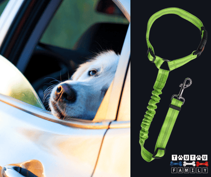 Ceinture-de-sécurite-pour-chien-2-en-1-laisse-voiture extensible, sangle robuste en nylon et clips  facile pour l'accrocher au appuie-tête des sièges, réglable et adaptable à tous véhicule-gros plan sur la ceinture de sécurité voiture universelle extensible, robuste pour chien avec son crochet rotatif à 360° et sangle pour appuie tête réglable et son clips sécurisé pour une installation facile et rapide, utilisable en laisse d'appoint de couleur verte