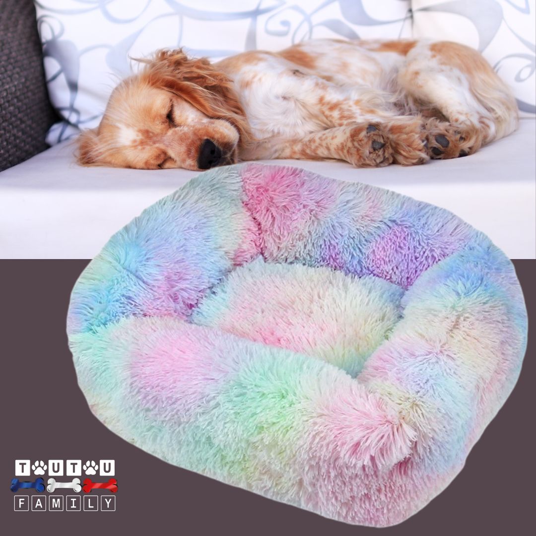 Coussin chien respirant - BlottiToutou™