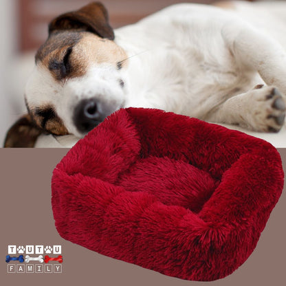 Coussin chien respirant - BlottiToutou™