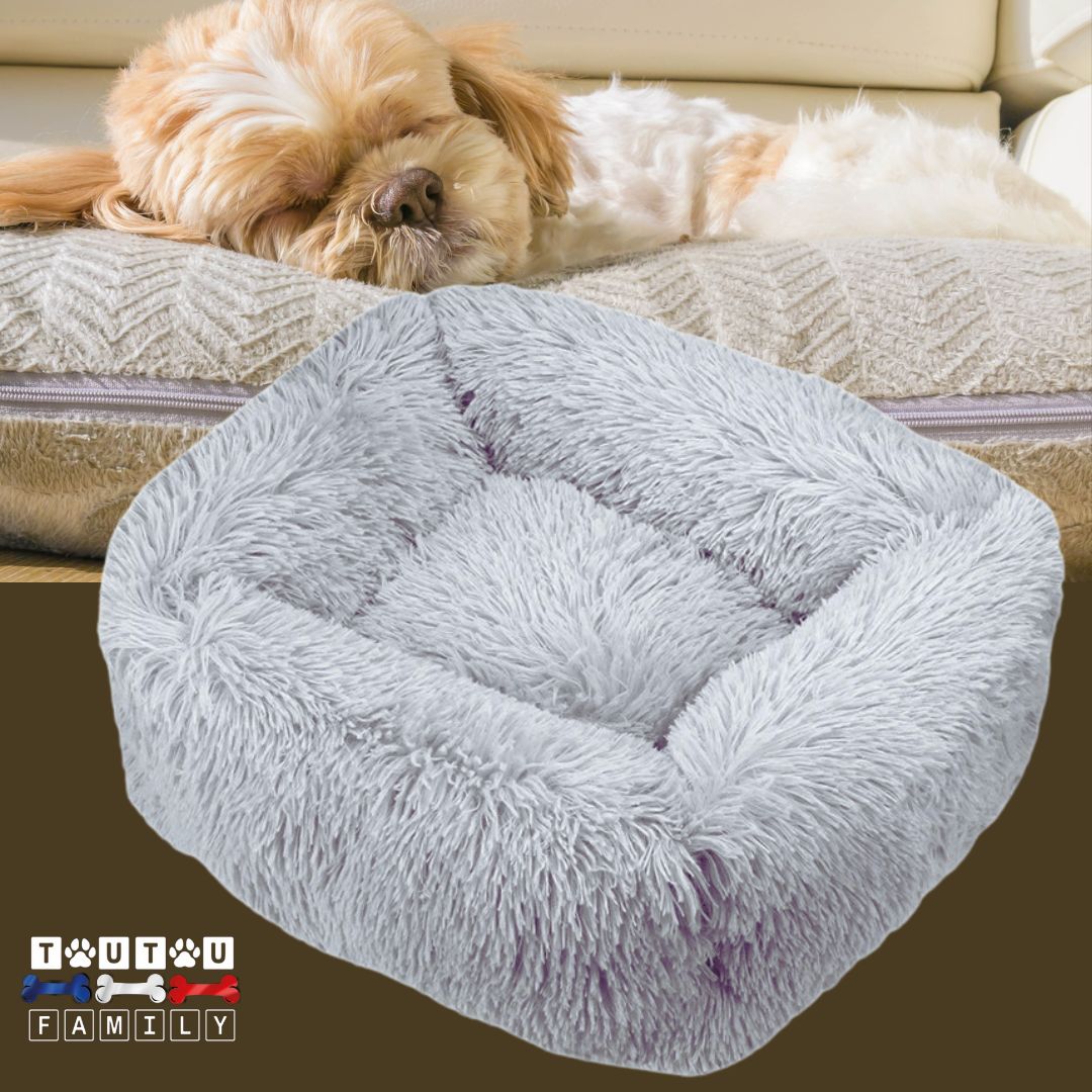 Coussin chien respirant - BlottiToutou™