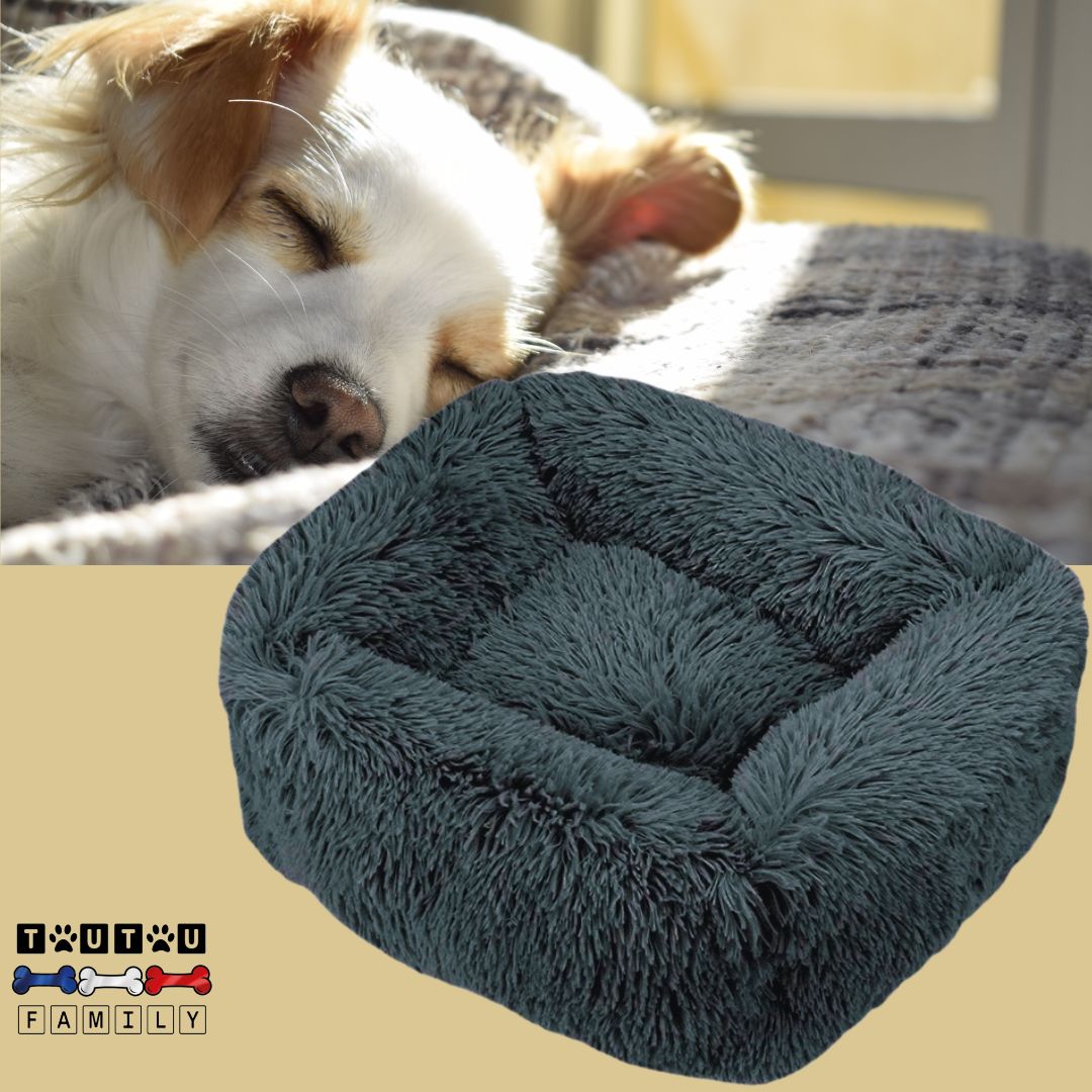 Coussin chien respirant - BlottiToutou™