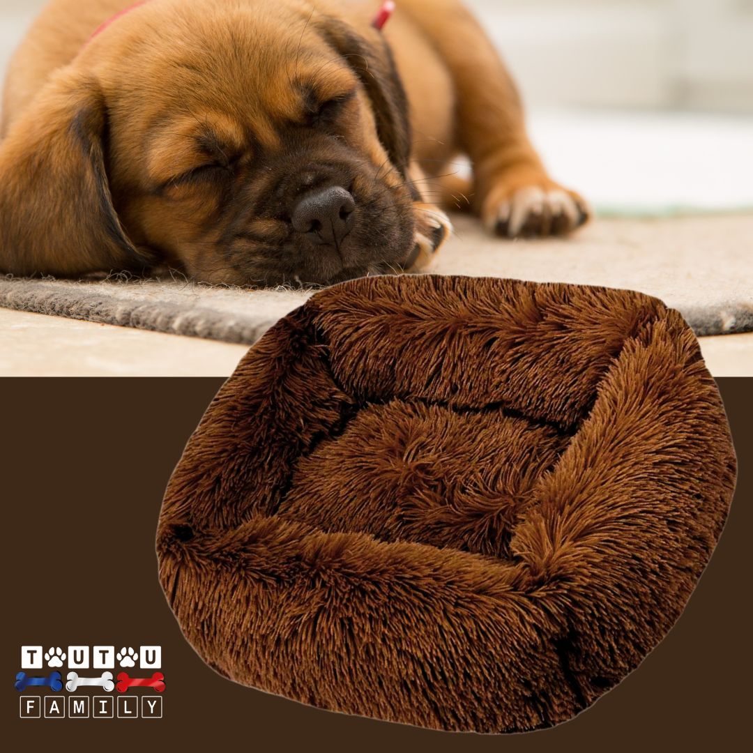 Coussin chien respirant - BlottiToutou™