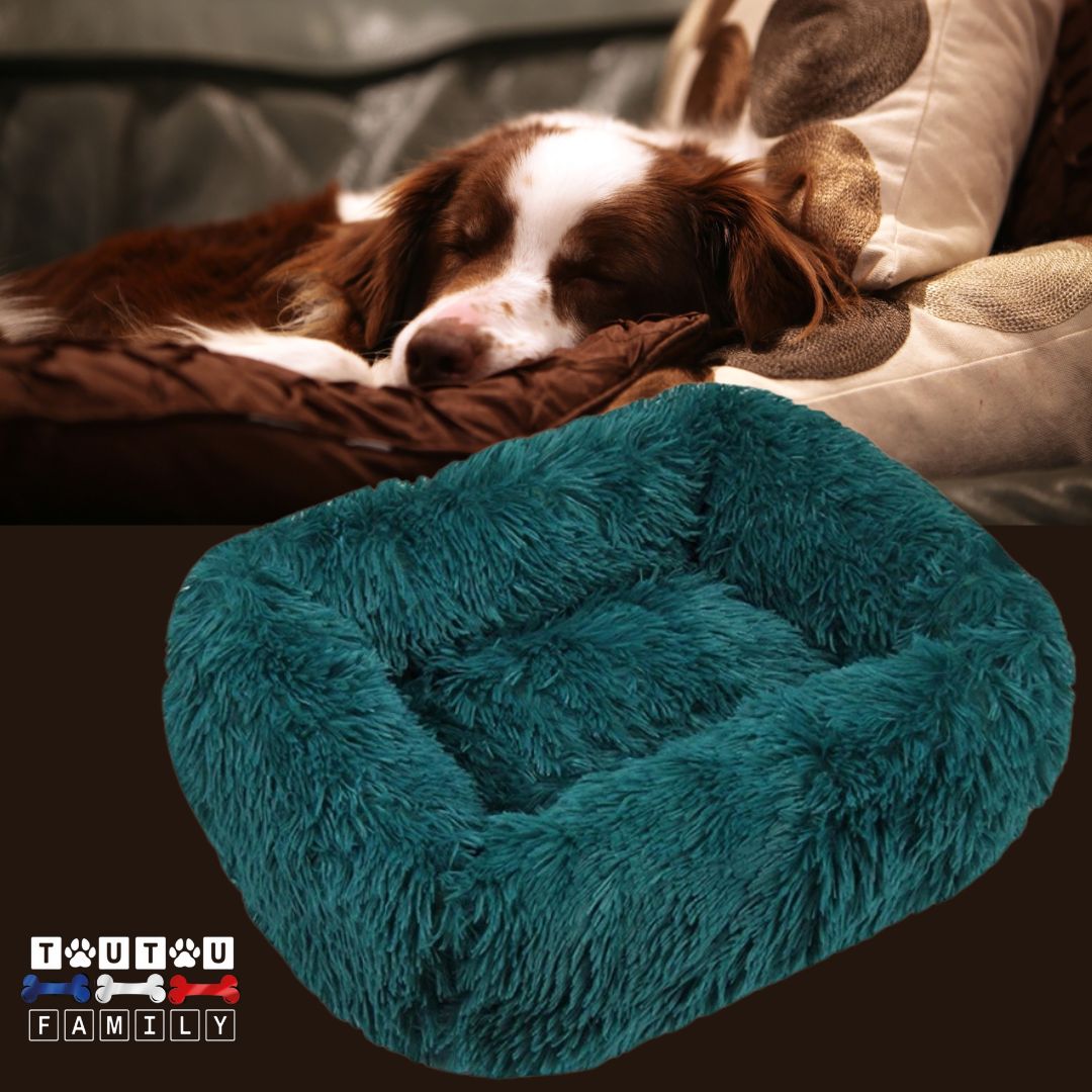 Coussin chien respirant - BlottiToutou™