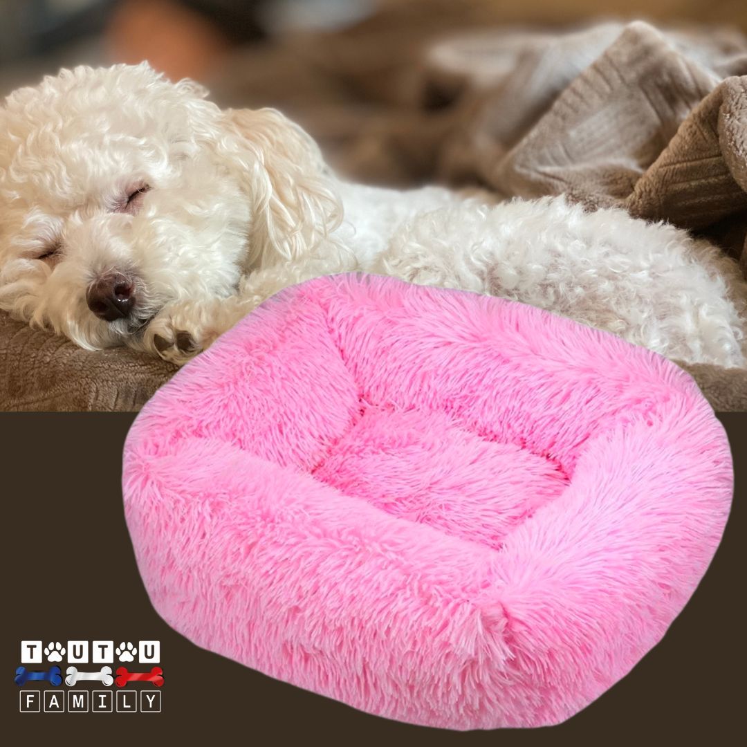 Coussin chien respirant - BlottiToutou™