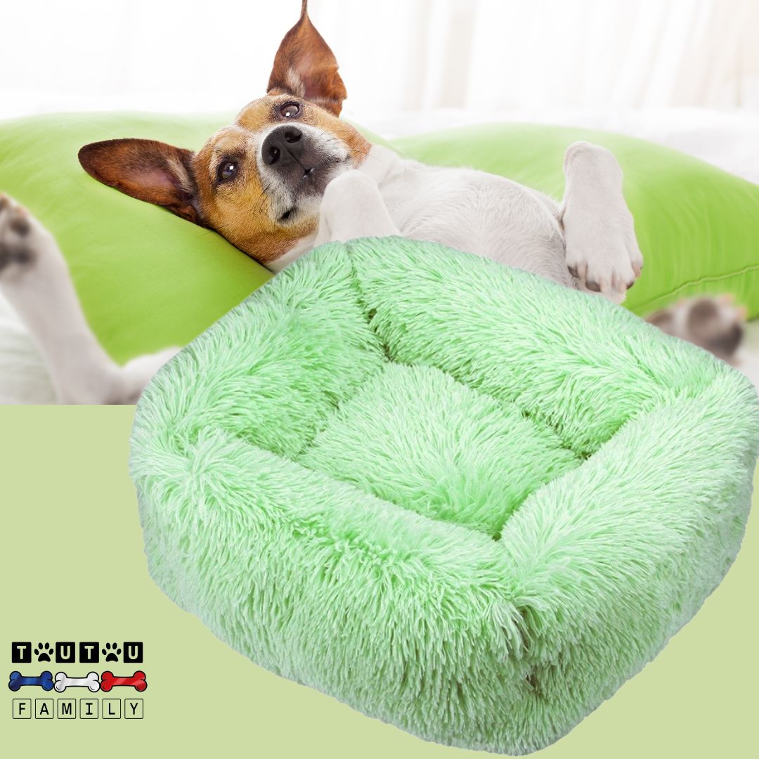 Coussin chien respirant - BlottiToutou™