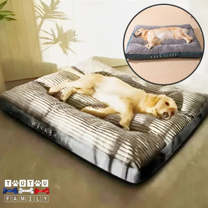 coussin-dehoussable-chien-lavable-coton-deux-grand-chien-qui-dorment-paisiblement-sur-leur-coussin