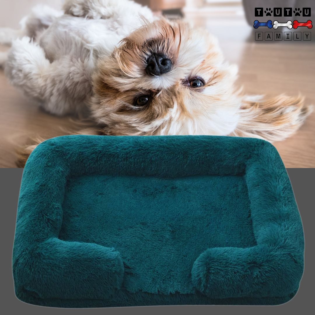 coussin-orthopedique-chien-bleu-matelas-à-mémoire-de-forme