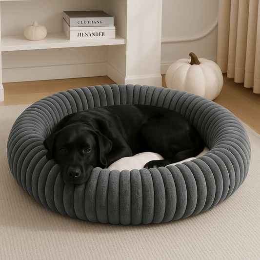 coussin-pour-chien-xl-apaisant-lavable en forme de donut-un labrador noir couché confortablement en boule dans le coussin anti stress , sa tête reposant sur le rebord moelleux et épais-rembourrage 100% coton et éponge antidérapant gris dans le salon de l'appartement