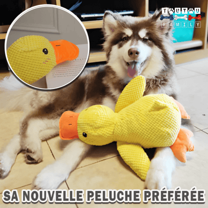 doudou-pour-chien-anti-anxiete