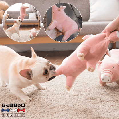 doudou-pour-chien-moelleux