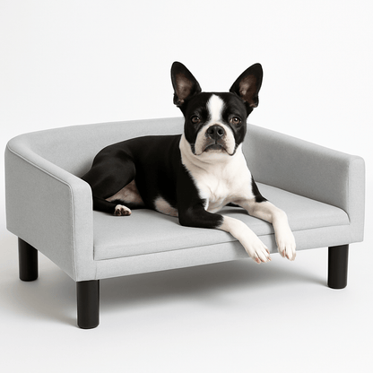 fauteuil-pour-chien-coussin-intérieur amovible en éponge épaisse 40D ergonomique sur pied-en bois et tissu résistant au toucher velours-respirant et lavable pour chien de petite à moyenne taille-un chien de moyenne taille couché confortablement dans son lit surélevé gris avec dossier et accoudoir haut et arrondis