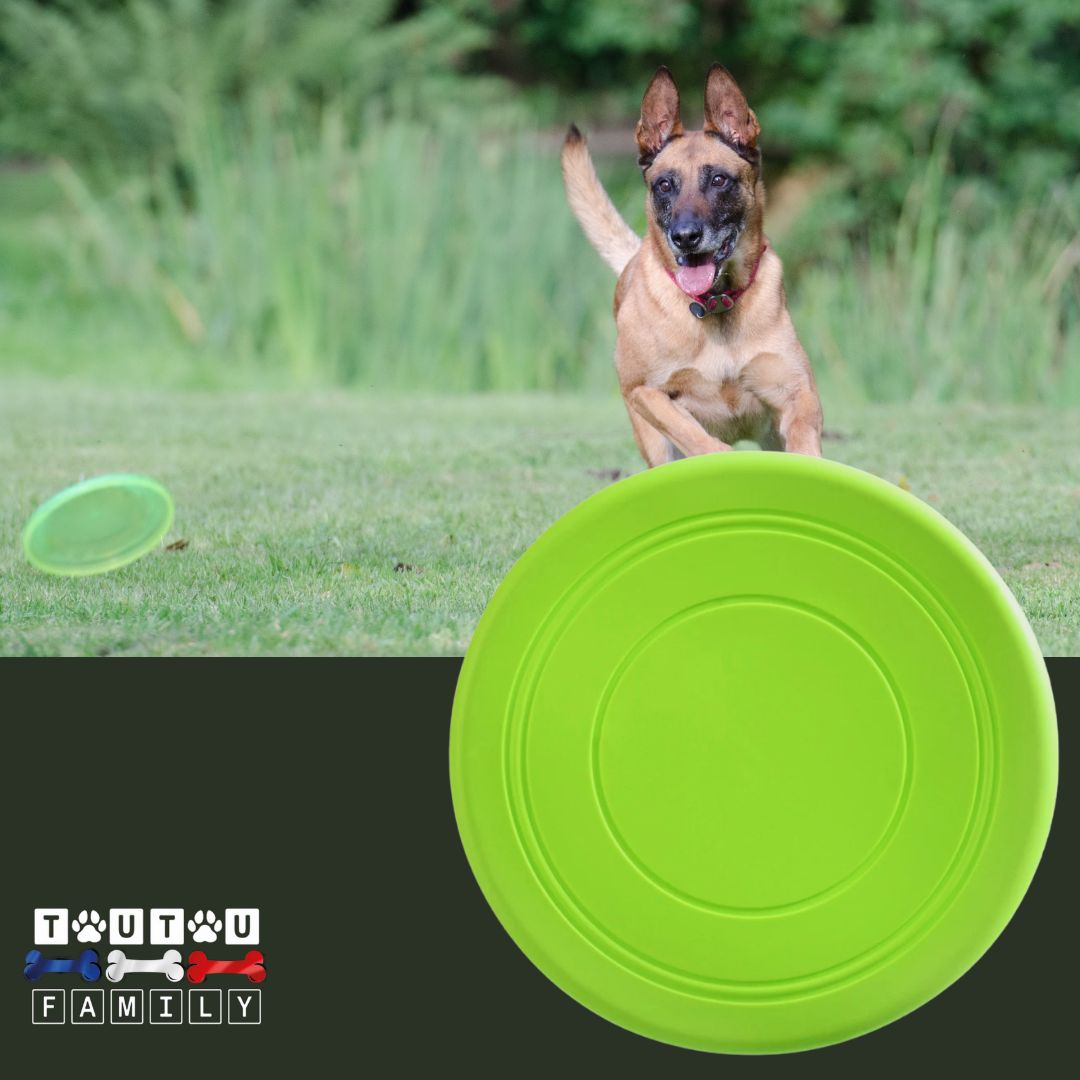 Frisbee-pour-chien-caoutchouc-vert--un-grand-chien-qui-court-à-toute-vitesse-sur-la-pelouse-pour-attraper-son-frisbee-vert