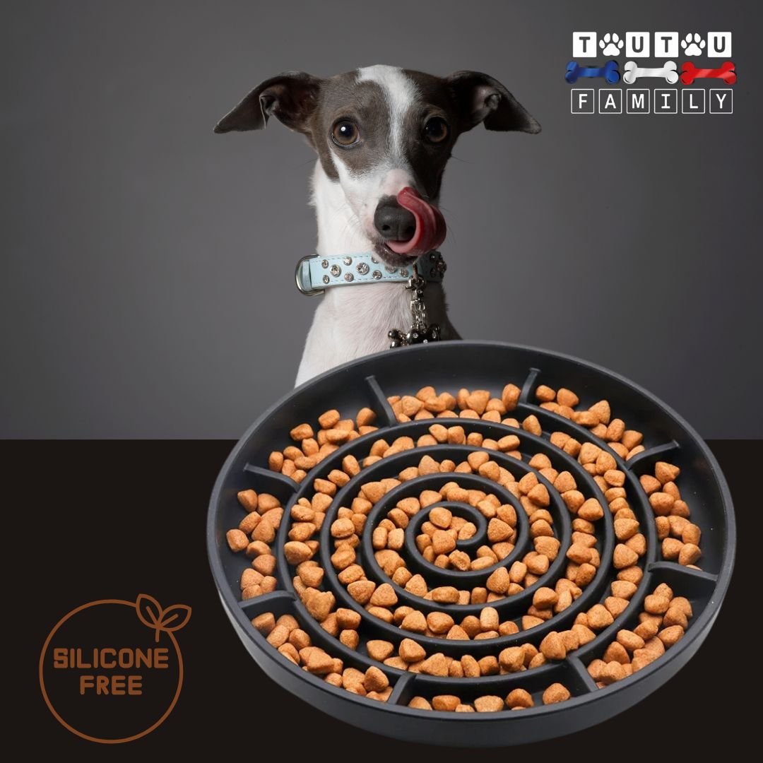 Gamelle-chien-anti-glouton-spirale-gris-un-chiot-lévrier-qi-se-lèche-les-babines-devant-sa-gamelle-en-silicone-sans-produits-toxiques-avec-ventouse-pour-alimentation-lente-fraîche-ou-sèche