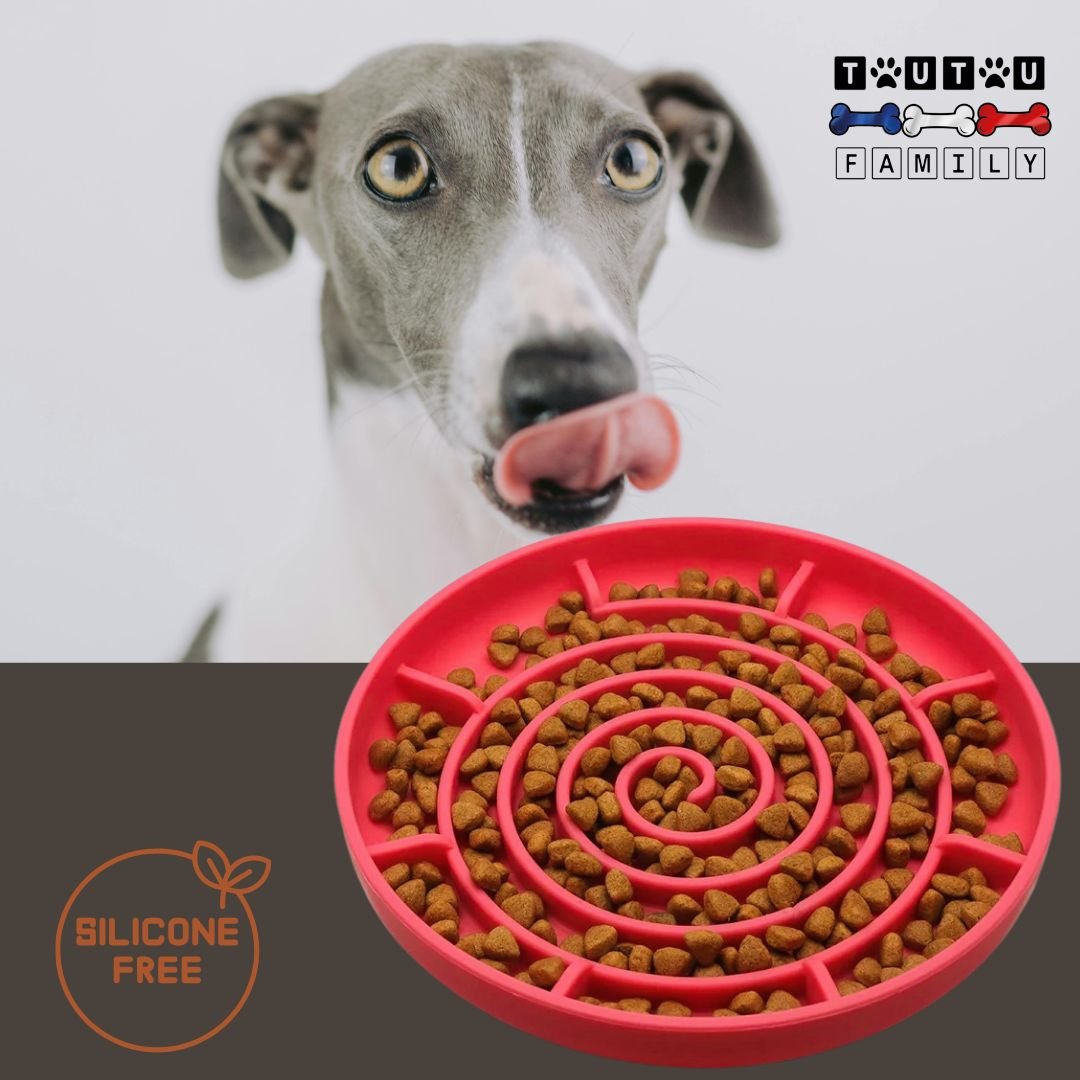Gamelle-chien-anti-glouton-spirale-rouge-un-chien-de-grande-taille-qui-se-lèche-les-babines-devant-la-gamelle-labyrinthe-anti-glouton-qui-ralentit-l-ingestion-des-aliments-pour-une-meilleur-digestion