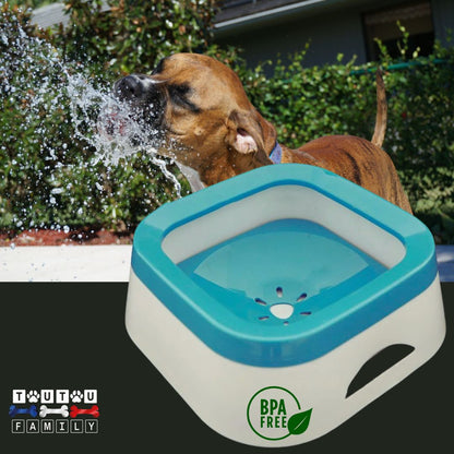 Gamelle d'eau pour chien anti éclaboussure - ImpecToutou™