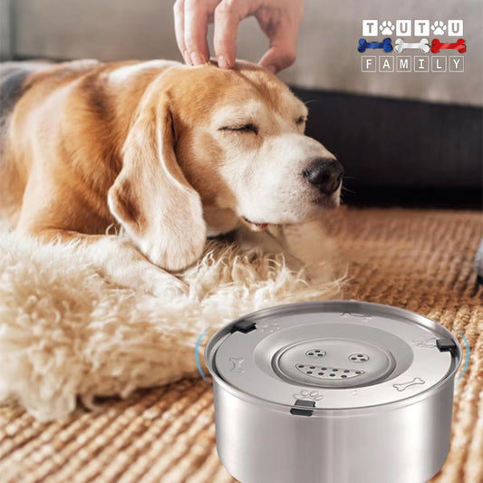 gamelle-eau-chien-anti-renversement-anti-bave-anti-bave-un-chien-propre-après-avoir-bu-dans-sa-gamelle-eau-qui-se-fait-caresser-sur-un-sol-propre-et-sec
