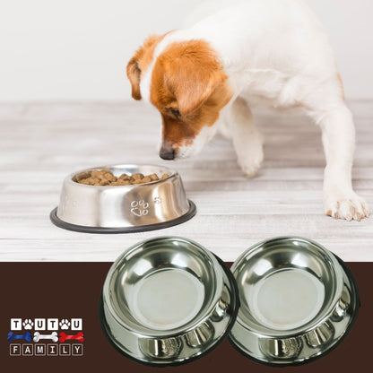 Gamelle-en-inox-pour-chien-lot-de-2-gamelle-pour-chien-de-petite-taille-250-ml-ou-grammes-hygiène-parfaite-un-jack-Russell-qui-mange-dans-as-gamelle-inoxydable-anti-dérapante