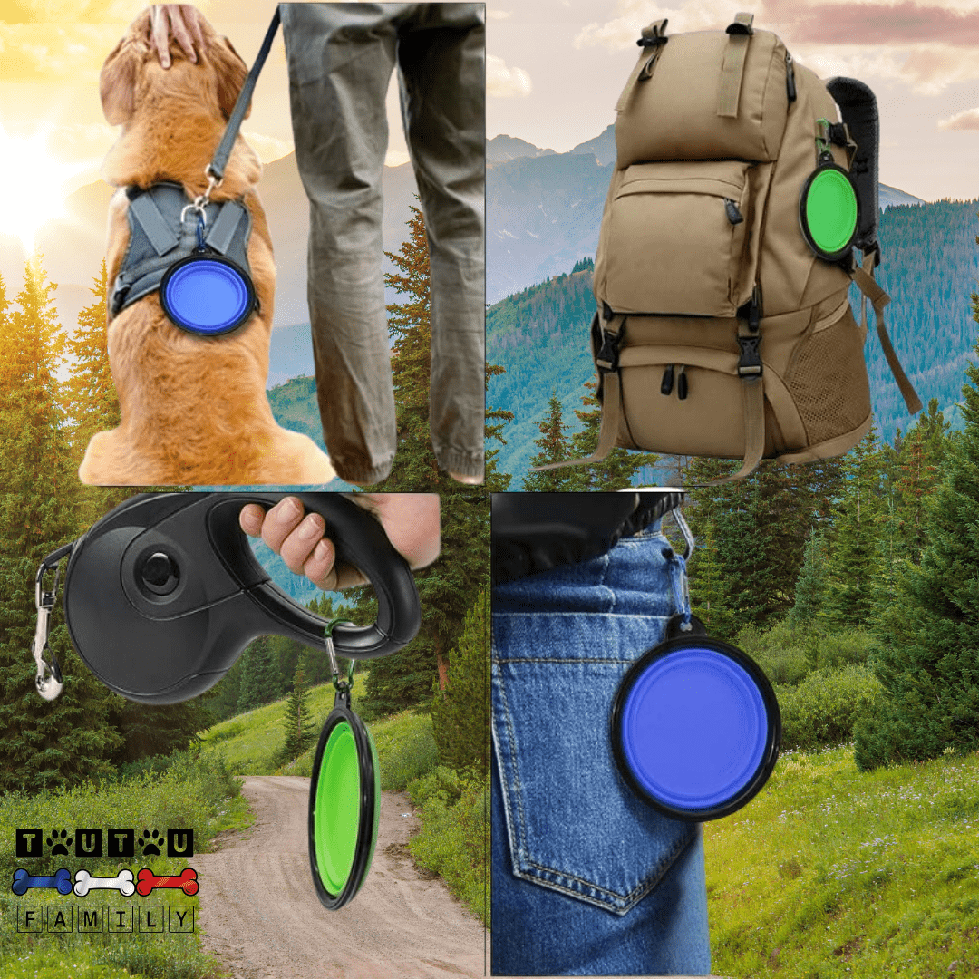 Gamelle-pliable-chien-compacte avec mousqueton, vendues par lot de deux, robuste et solide et lavable en lave-vaisselle, disponible en 3 modèles : 350ml, 1L, 1,5L pour chien de toutes tailles, pour utilisation en voyage, à l'extrieur, en sortie, en promenade pour croquette, nourriture ou eau- 4 gros plan de la gamelle pliée accroché par son mousqueton à la laisse déroulante, ou à la boucle de ceinture du maitre, ou sur le sac à dos de randonnée, ou sur le harnais du chien