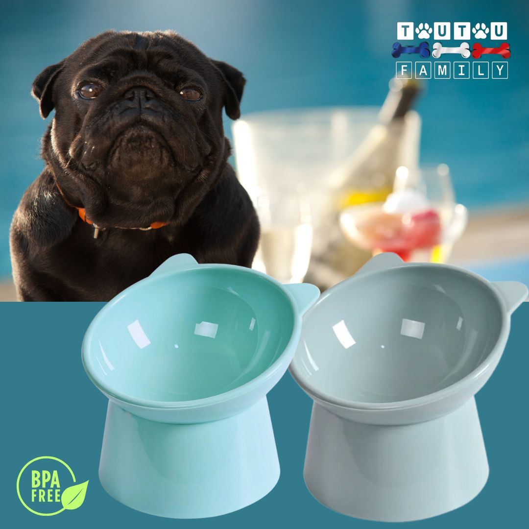 Gamelle-pour-petit-chien-2-gamelles-haute-bleu-et-gris-pour-petits-chiens-et-chiots-à-museau-plat-bouledogue-carlin
