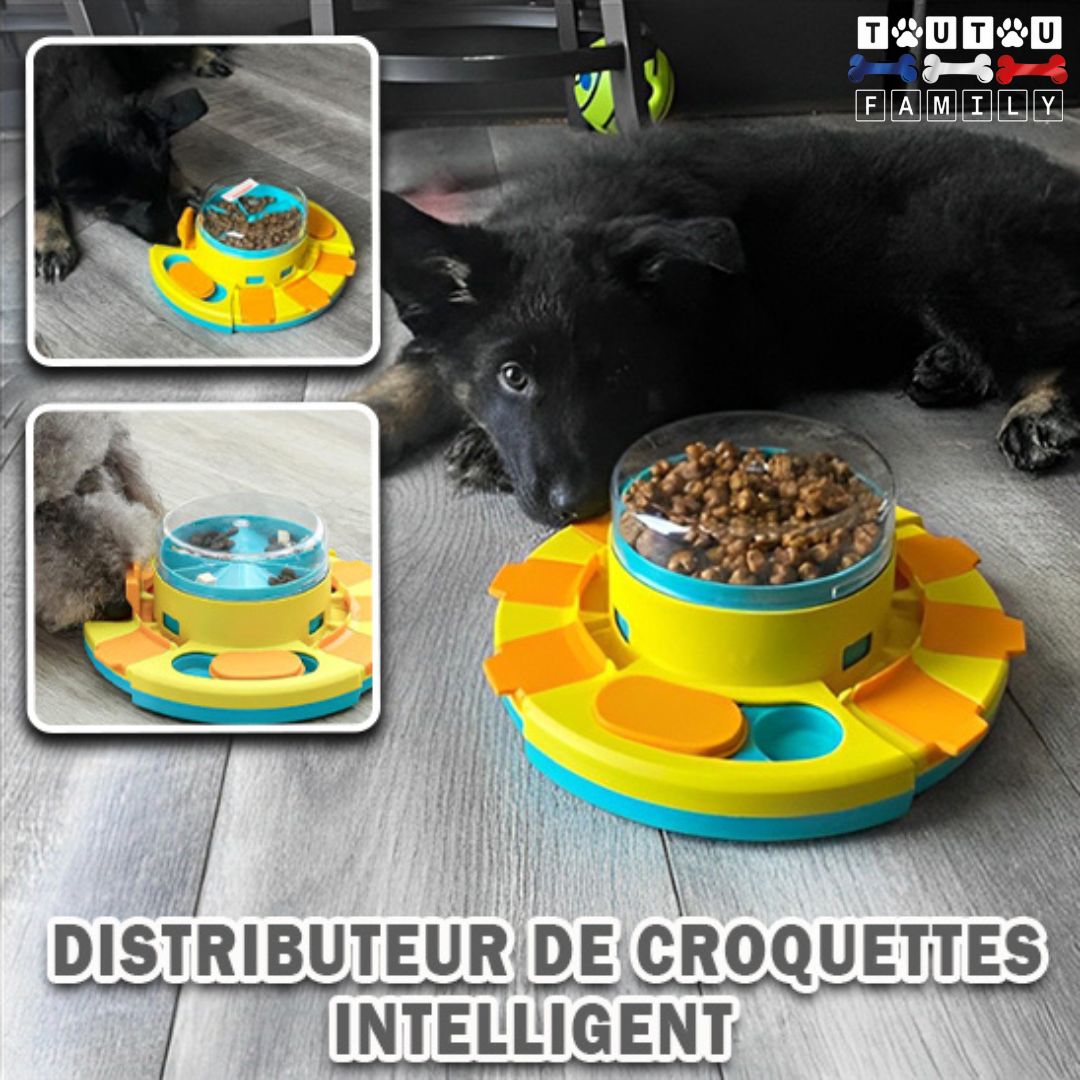 jouet-distributeur-de-croquette-chien-ant-glouton-un-caniche-et-un-chien-de-petite-taille-qui-mange-grâce-au-distributeur-de-croquette-puzzle-intelligent