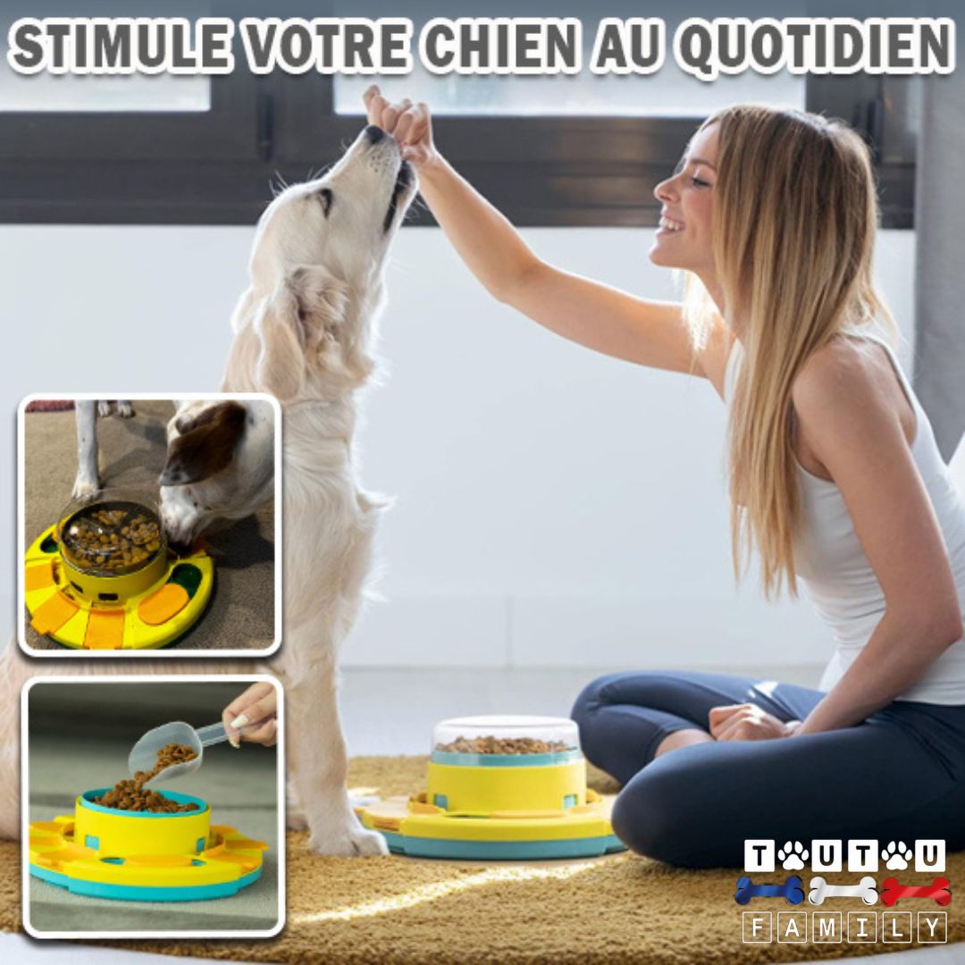 jouet-distributeur-de-croquette-chien-puzzle-une-prpriétaire-de-golden-sable-qui-donne-une-croquette-en-souriant-à-son-chien-au-dessus-du-jouet-pour-lui-apprendre-à-l-utilliser