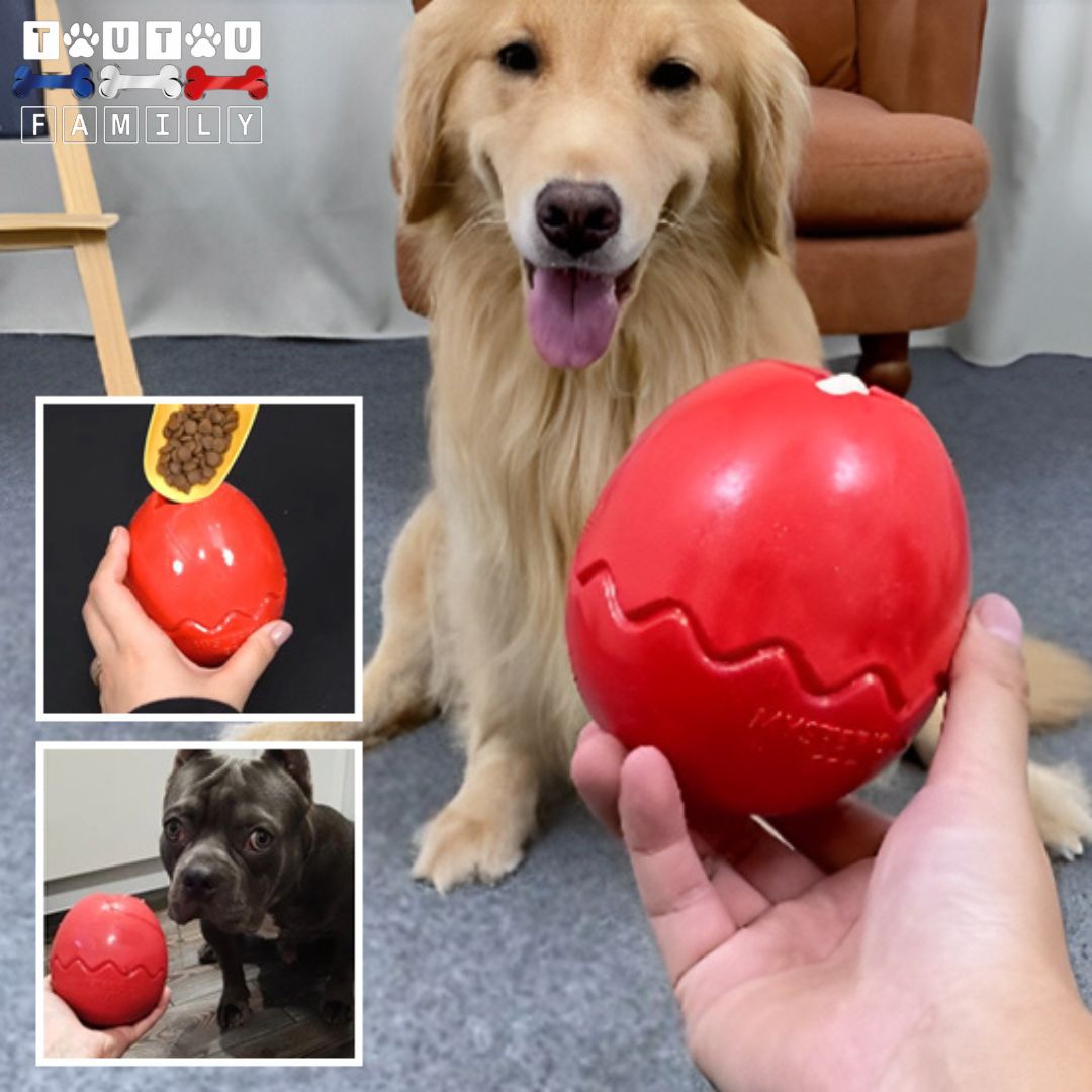 jouet-d-occupation-chien-à-garnir-de-croquette-de-nourriture-liquide-anti-anxiété-golden-bouledogue