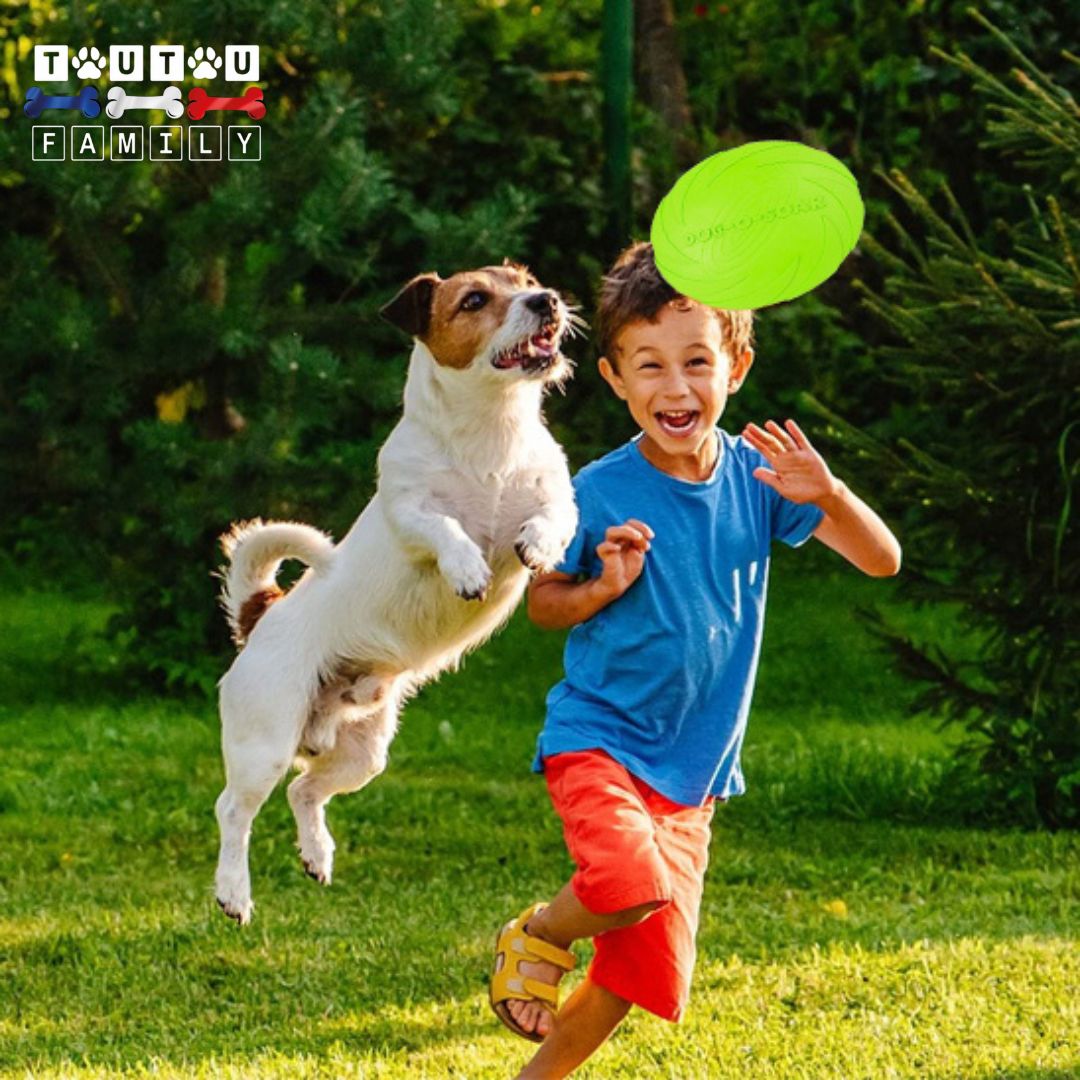 Jouet-interactif-pour-chien-frisbee-caoutchouc-qui-flotte-un-enfant-et-un-chien-qui-court-tout-heureux-derrière-le-fribee-que-le-chien-attrape-au-vol-dans-le-parc