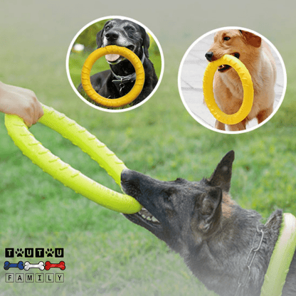 Jouet pour chien interactif - AnneauToutou™